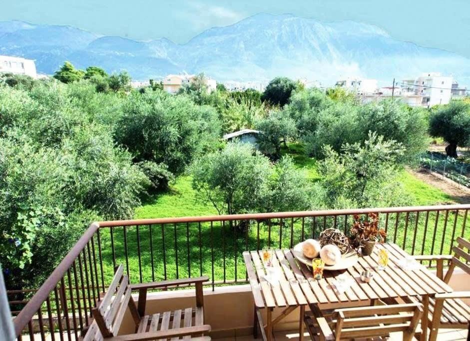 Amalia'S Serendipity - City Lights & Mountain Vistas Kalamata Exterior photo
